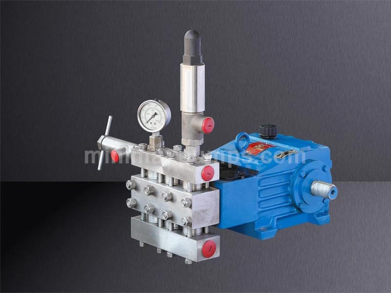 Triplex Plunger Metering Pump, Triplex Plunger Metering Pump manufacturer, Triplex Plunger Metering Pump Supplier